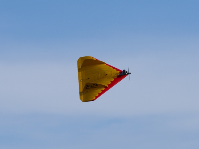 Delta Hustler in Action