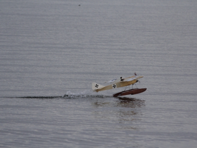 Magnatilla Nivå bugten