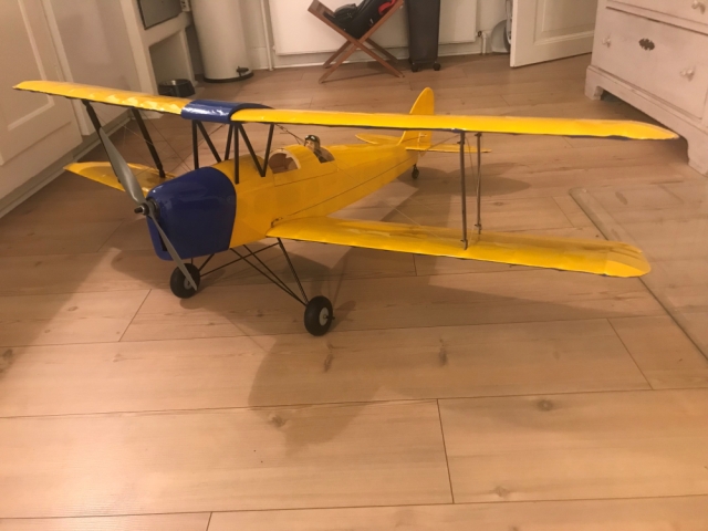 Tiger Moth
