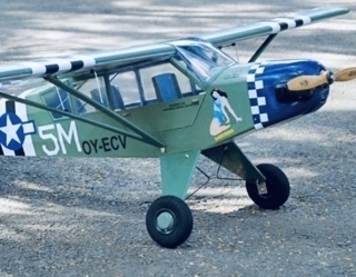 L-4piber cub