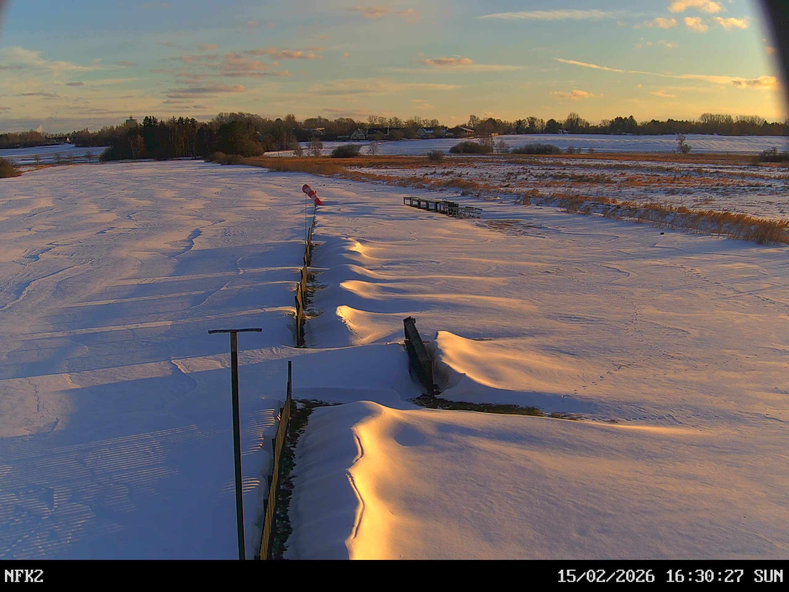 Vinter i Langstrup Mose